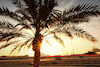 TEST BAHRAIN, Carlos Sainz Jr (ESP) Ferrari SF-23.
25.02.2023. Formula 1 Testing, Sakhir, Bahrain, Day Three.
- www.xpbimages.com, EMail: requests@xpbimages.com © Copyright: Moy / XPB Images